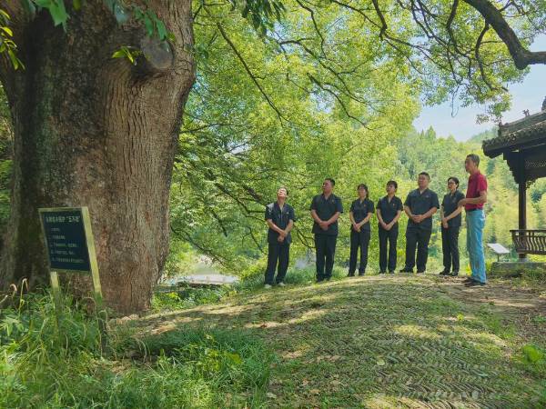 1750222748297305.jpg 2.jpg