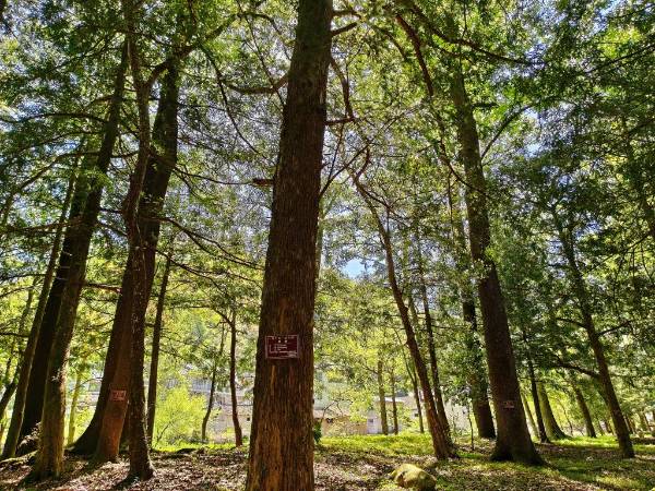 1750222755518483.jpg 3.jpg