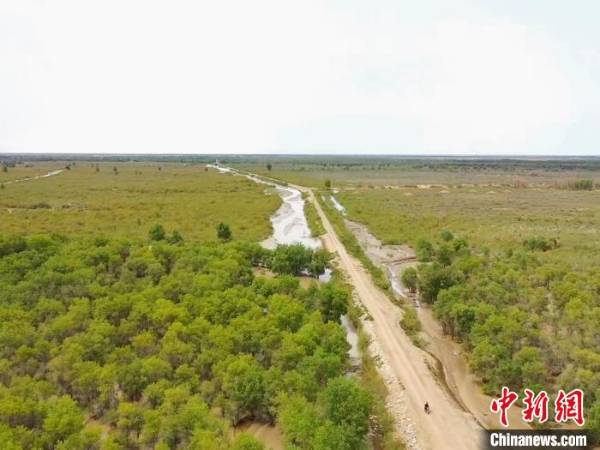 1750222862698846.jpeg 4.jpeg