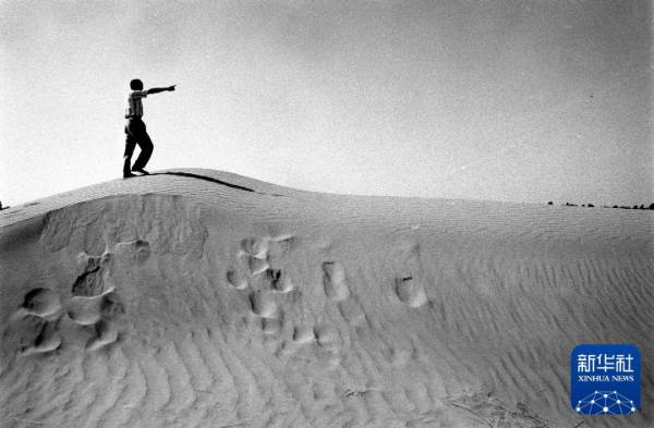 1750223901560841.jpg 6.jpg