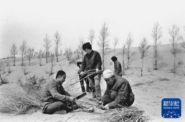 1750223915410854.jpg 8.jpg