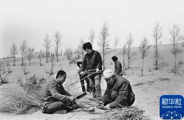 1750223924291925.gif 1750223924291925.gif