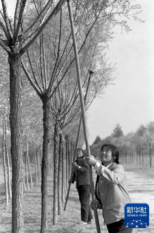 1750223934511166.jpg 10.jpg