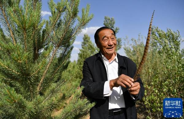 1750223940901106.jpg 11.jpg