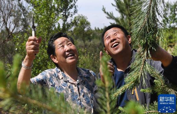 1750223945513758.jpg 12.jpg