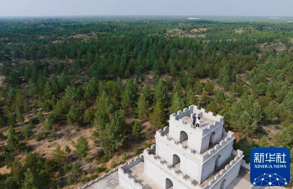 1750223967281451.jpg 15.jpg