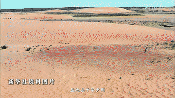 1750224229810317.gif 2.gif