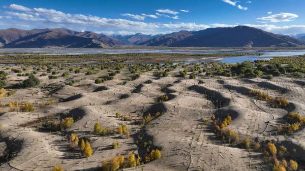 1750230840955263.jpeg 12.jpeg