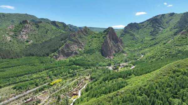 1750230845289428.jpeg 13.jpeg