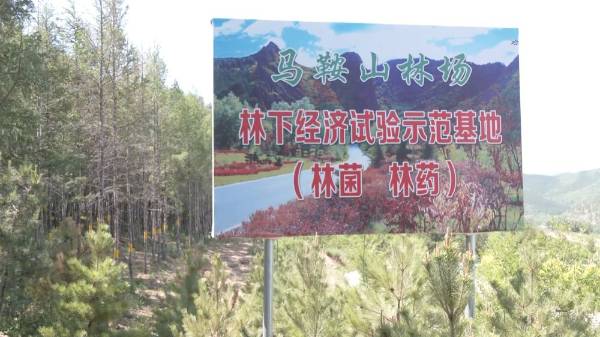 1750230851684996.jpeg 14.jpeg