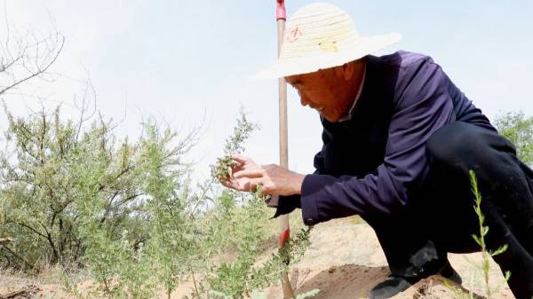 1750230860255732.jpeg 15.jpeg