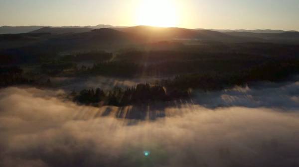 1750230878558566.jpeg 18.jpeg