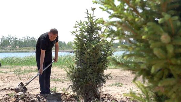 1750230885237805.jpeg 19.jpeg