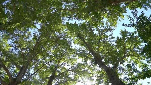 1750230904828508.jpeg 20.jpeg