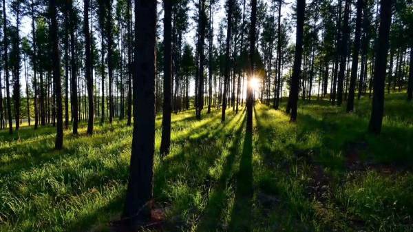 1750230915827615.jpeg 22.jpeg