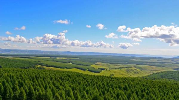 1750230918170468.jpeg 23.jpeg