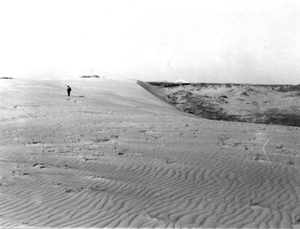 1750311490500230.jpg 1.jpg