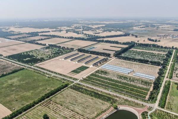 1750311508595863.jpg 2.jpg