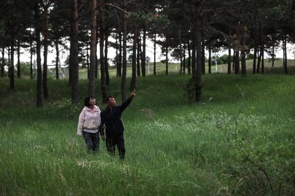 1750311515932516.jpg 3.jpg