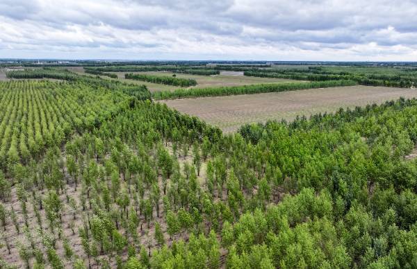 1750311724654933.jpg 4.jpg