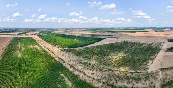 1750311737975257.jpg 5.jpg