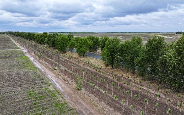 1750311752950200.jpg 6.jpg