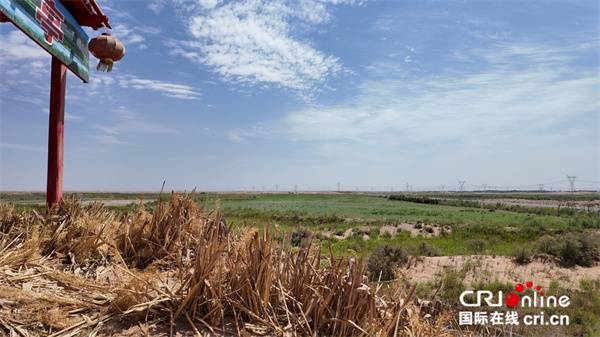 1750311905923775.jpg 8.jpg