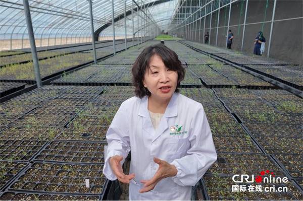 1750311924776247.jpg 10.jpg