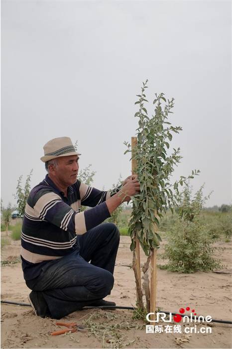 1750311931118642.jpg 1750311931118642.jpg