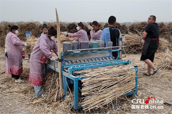 1750311947481669.jpg 12.jpg