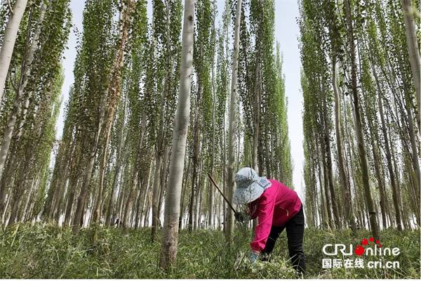 1750312026955228.jpg 17.jpg