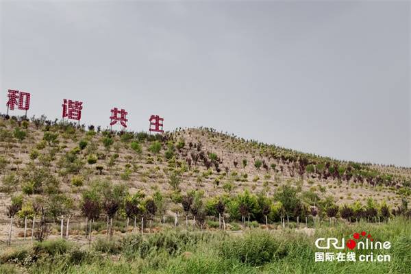 1750312039136701.jpg 15.jpg