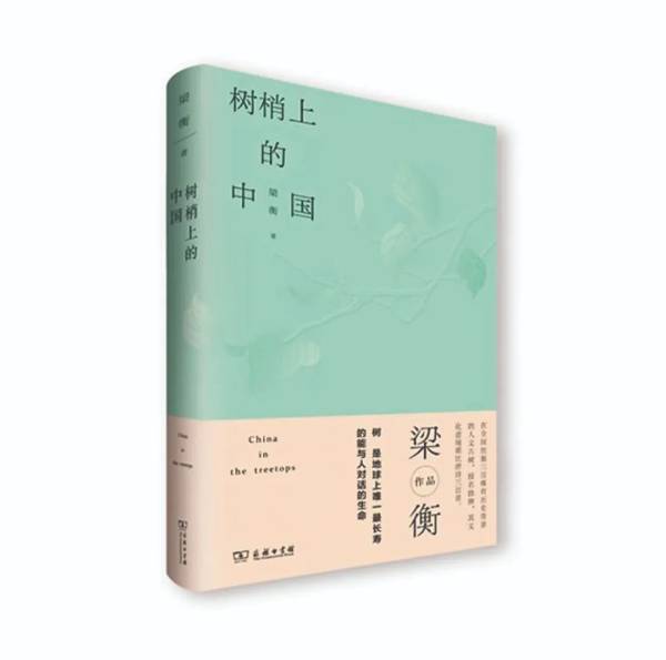 1750313755705712.jpg 2 (1).jpg