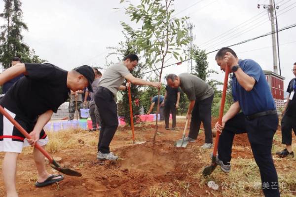 1750314791338044.jpg 1 (1).jpg