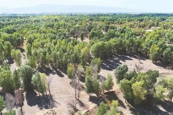 1750321129810368.jpg 2 (1).jpg