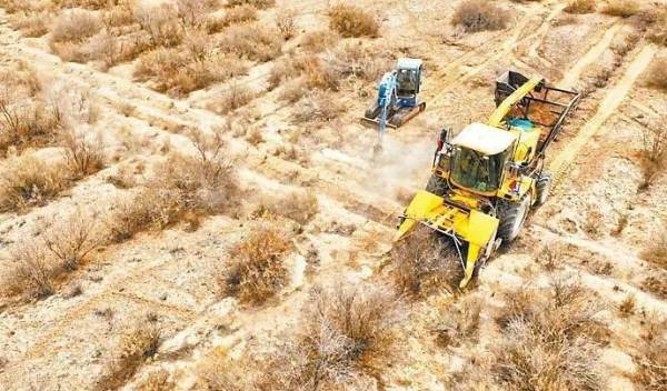 1750321171587088.jpg 3 (1).jpg