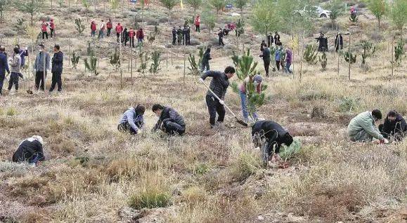 1750321524321942.jpg 2 (1).jpg