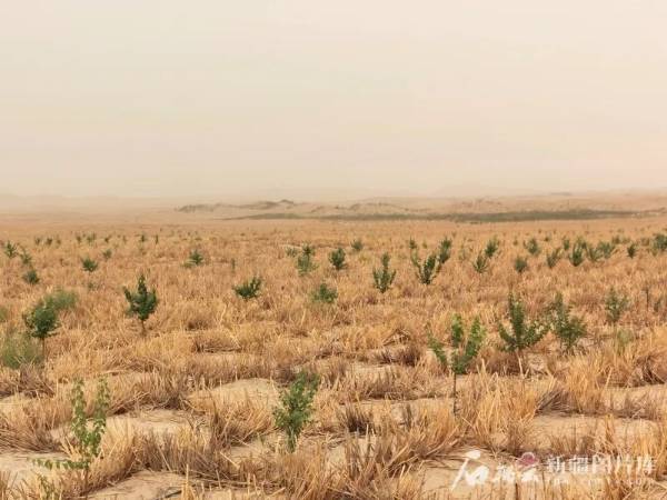 1750321745644547.jpg 1 (1).jpg