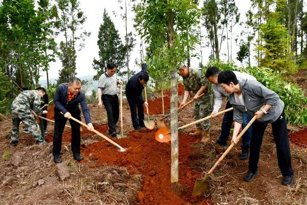 1750322354935016.jpg 640 (1).jpg