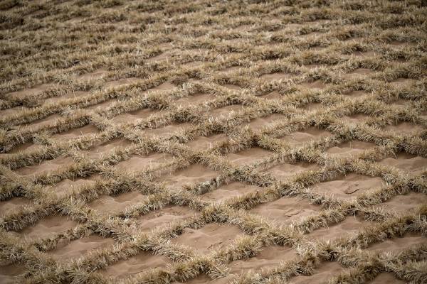 1750389534662971.jpg 2.jpg