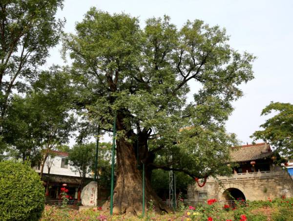 1750390087866592.png 3.png