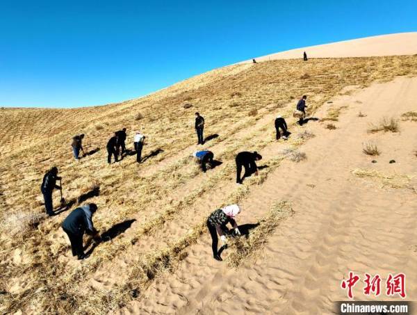 1750390727369088.jpg 4.jpg