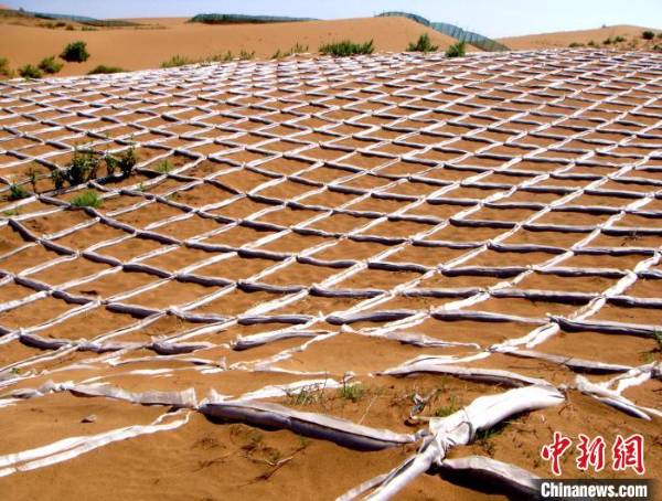 1750390741299179.jpg 5.jpg