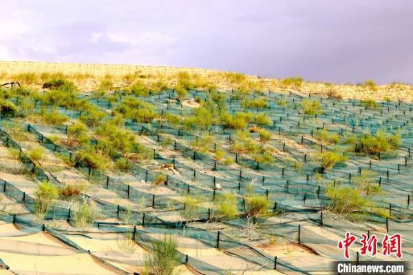 1750390750892102.jpg 6.jpg