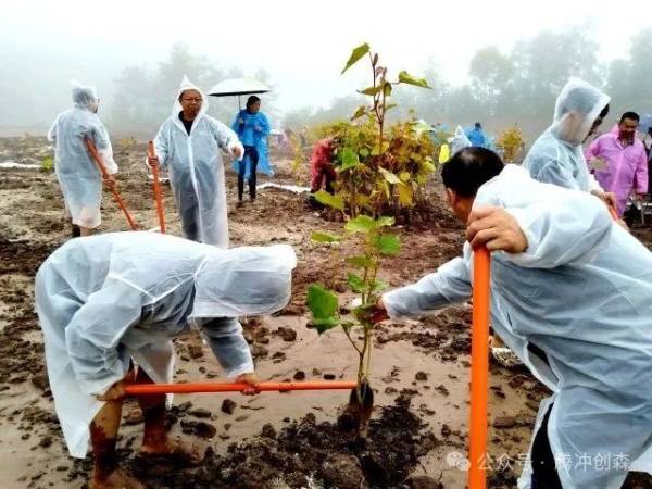 1750391166185987.jpg 11.jpg