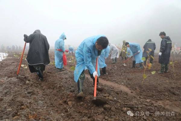 1750391169899232.jpg 12.jpg