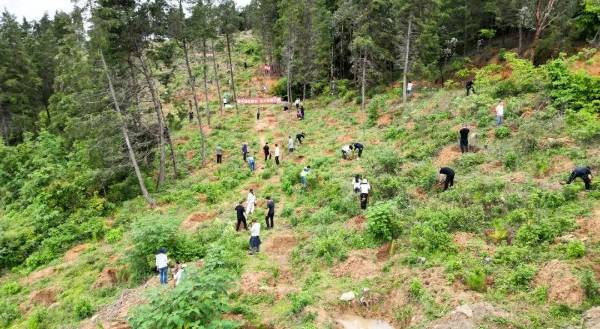 1750394564853299.jpg 14.jpg