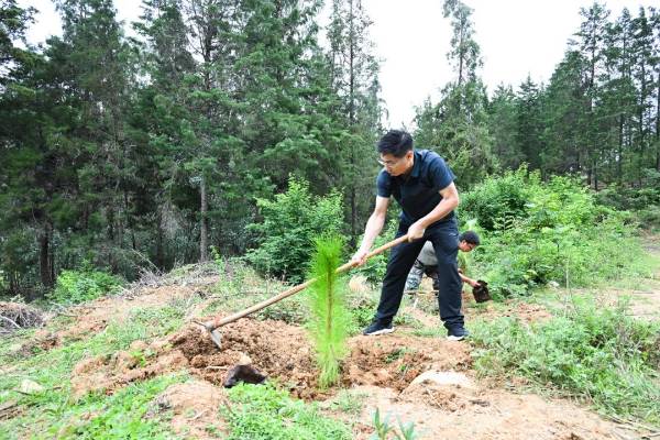 1750394578336266.jpg 16.jpg