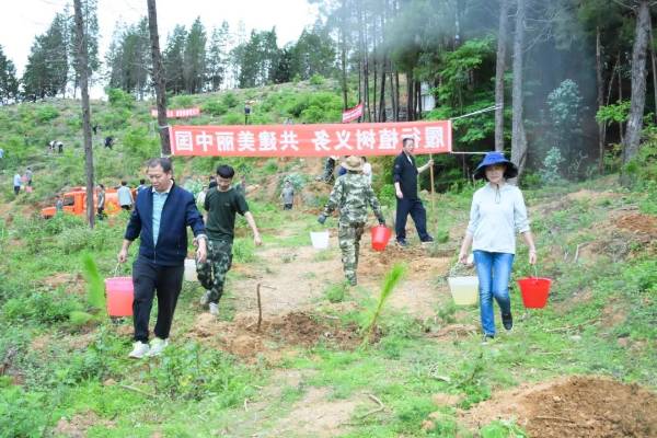 1750394589306722.jpg 17.jpg