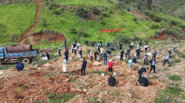 1750394775801507.jpg 18.jpg